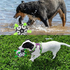 Brinquedo Bola Interativa para Cachorro B - Bola - 02 TER