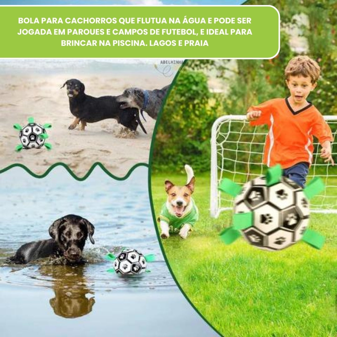 Brinquedo Bola Interativa para Cachorro