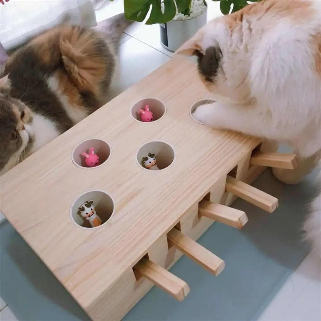 Brinquedo Esconde-esconde para Gatos FunDaze B - esconde esconde - 01