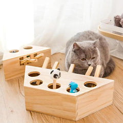 Brinquedo Esconde-esconde para Gatos FunDaze B - esconde esconde - 01