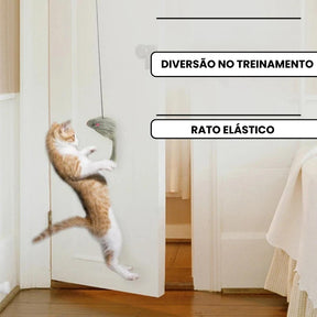 Brinqueto interativo para gatos CatPlay