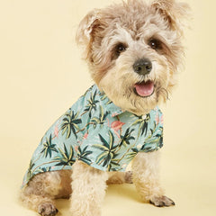 Camisa Florida para Cachorros Azul Palmeira / PP A - Camisa - 01