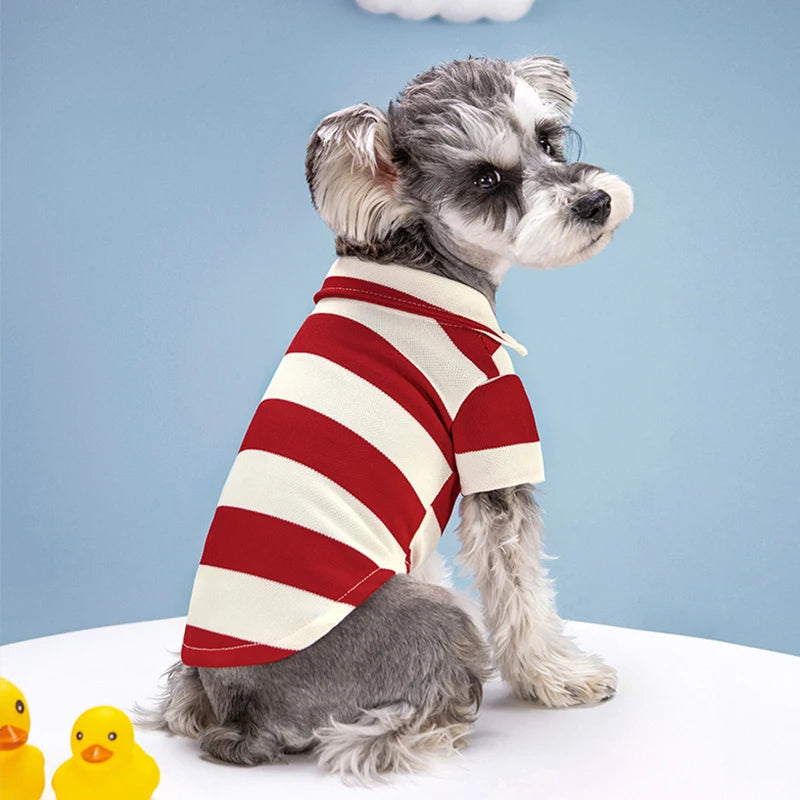 Camisa Polo Casual para Cães