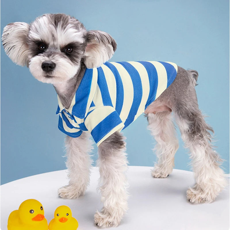 Camisa Polo Casual para Cães R - Roupas - 16