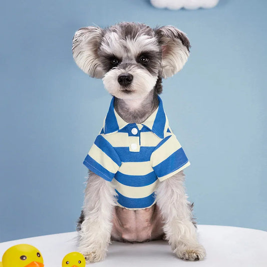 Camisa Polo Casual para Cães Azul / PP R - Roupas - 16