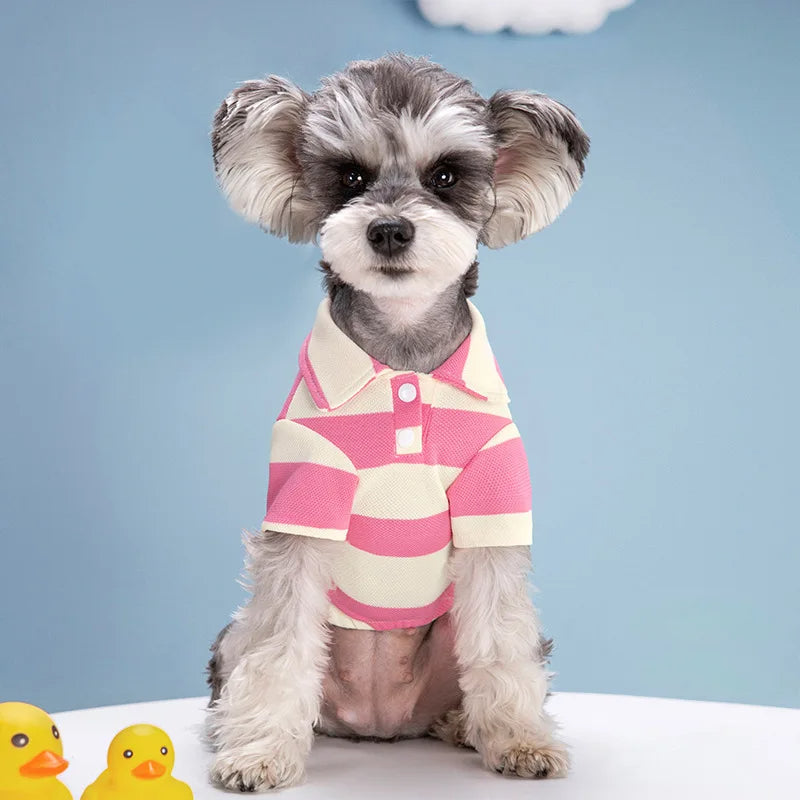 Camisa Polo Casual para Cães