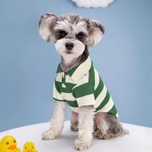 Camisa Polo Casual para Cães