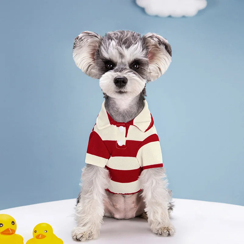 Camisa Polo Casual para Cães