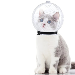 Capacete focinheira anti-mordida para pet ComfortPet SC - 07