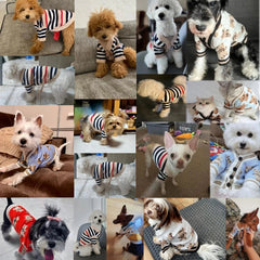 Cardigan de Malha Listrada para Animais R - Roupas - 13