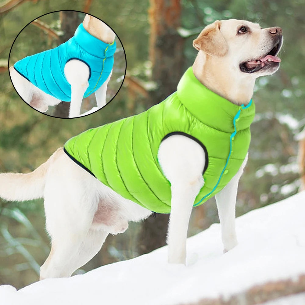 Casaco Grosso para Cães Verde / P R - Roupas - 23