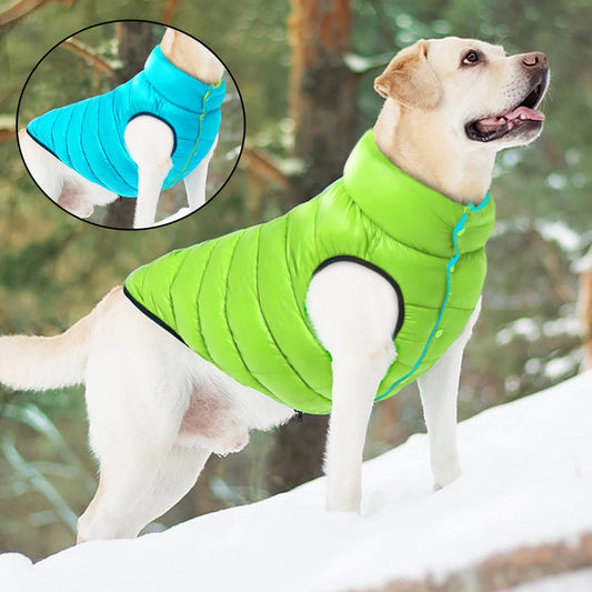 Casaco Grosso para Cães Verde / P R - Roupas - 23