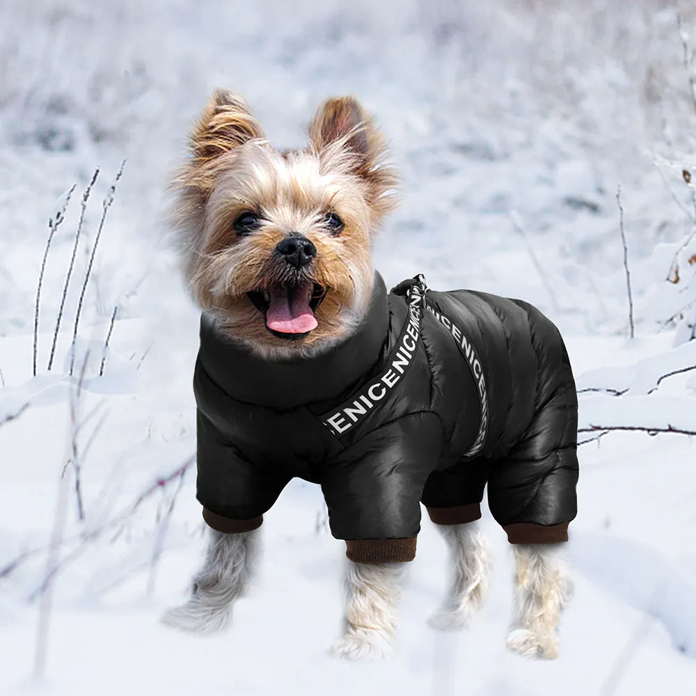 Casaco Puffer Quente para Cachorro R - Roupas - 21