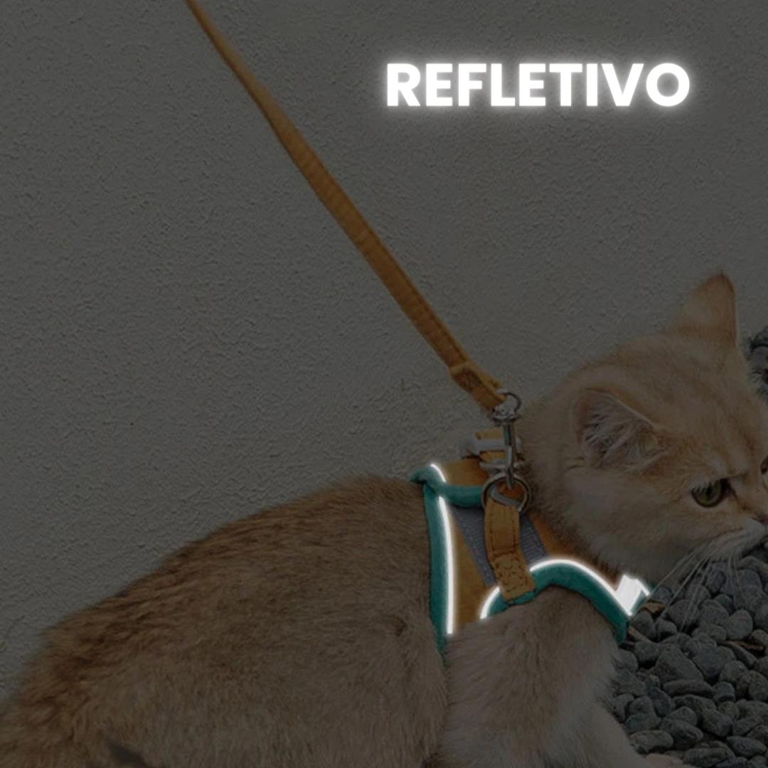 Coleira Anti Fugas para Gatos ProofKit A - Coleira gato - 01