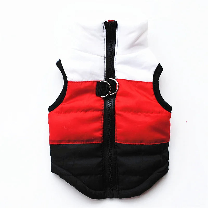 Colete Impermeável Para Cães Listrado 1 / PP R - Roupas - 14