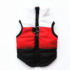 Colete Impermeável Para Cães Listrado 1 / PP R - Roupas - 14