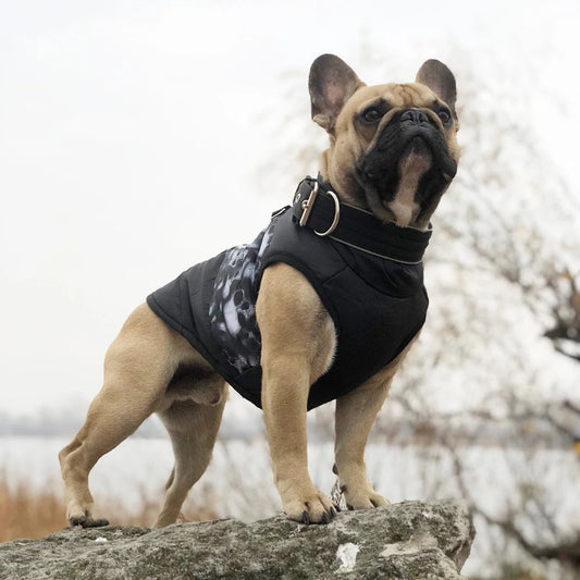Colete Impermeável Para Cães R - Roupas - 14