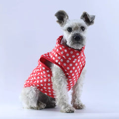 Colete Impermeável Para Cães R - Roupas - 14