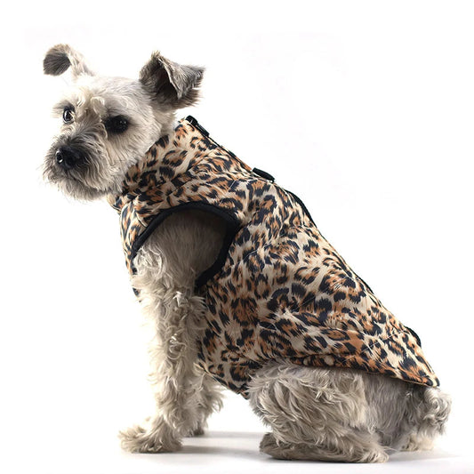 Colete Impermeável Para Cães Pintadinho / PP R - Roupas - 14