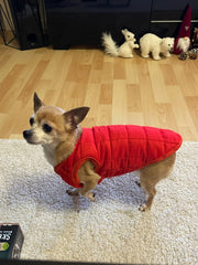 Colete Liso de Algodão para Cães The Dog Face R - Roupas - 19