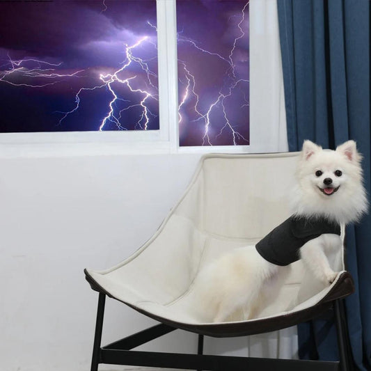 Colete anti stress e ansiedade para cachorros ZenCão SC - 08