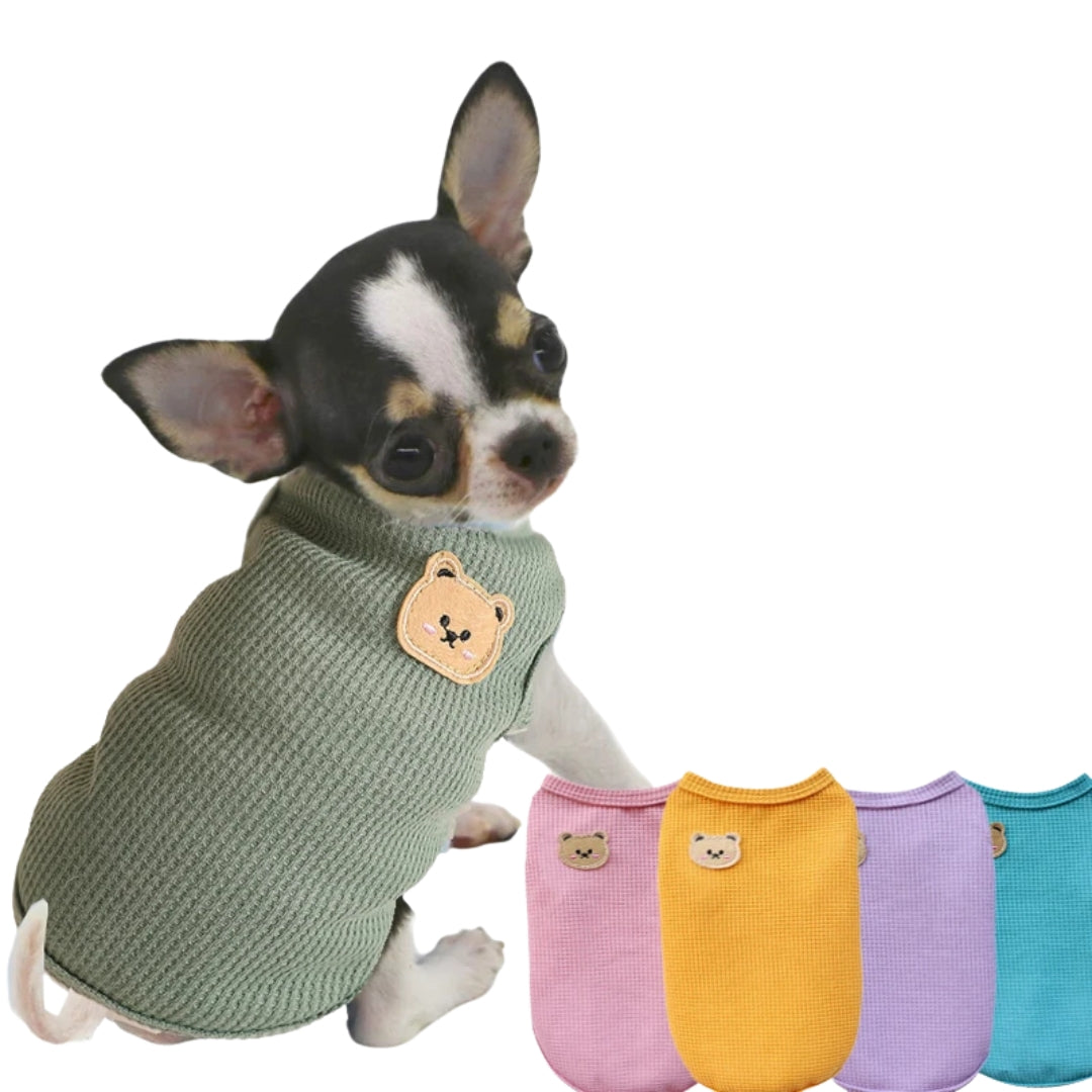 Colete de Veludo para Cães e Gatos R - Roupas - 20