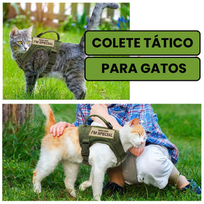 Colete para Gatos e Cães Pequenos