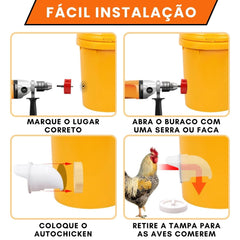 Comedouro automático para galinhas AutoChicken A - Comedouro Gal - 01