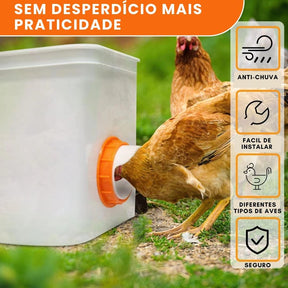 Comedouro automático para galinhas AutoChicken