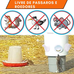 Comedouro automático para galinhas AutoChicken A - Comedouro Gal - 01