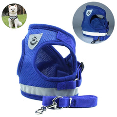 Conjunto Coleira Peitoral e Guia para Cães e Gatos Safety Azul / PP C - Peitoral - 02
