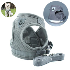 Conjunto Coleira Peitoral e Guia para Cães e Gatos Safety C - Peitoral - 02