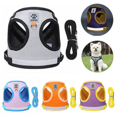 Conjunto Coleira Peitoral e Guia para Cães e Gatos Safety C - Peitoral - 02