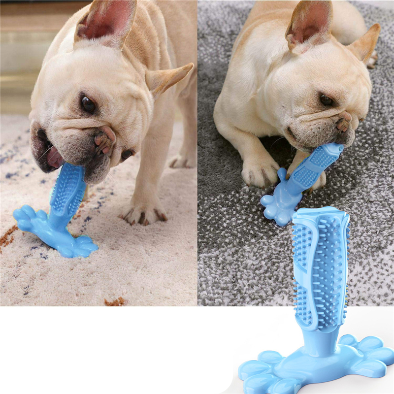 Brinquedo limpador bucal para pets CleanTooth