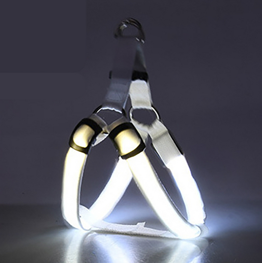 Coleira peitoral que brilha no escuro ShineLight Branco / PP CL - 04