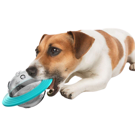 Brinquedo interativo para cães e gatos com dispenser de ração PetDisk BI - 01