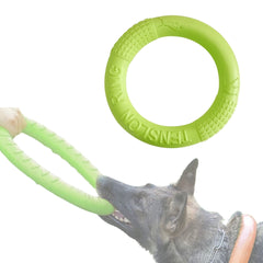 Disco de Borracha Para Mordida de Cachorro BiteCão Verde / 18cm B - DISCO - 01