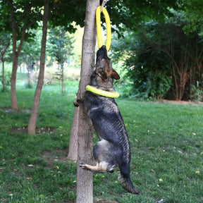 Disco de Borracha Para Mordida de Cachorro BiteCão