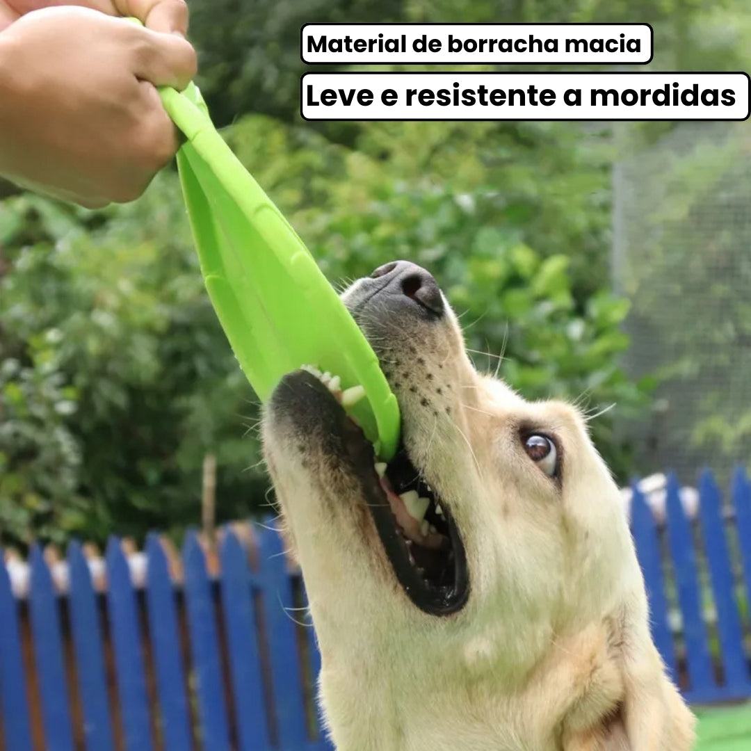 Disco de Brinquedo Para Cachorro Fortega B - Disco - 02