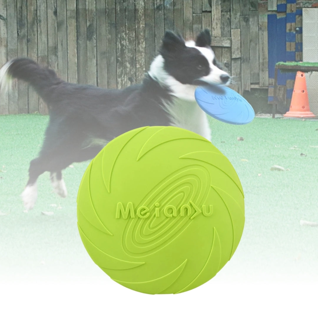 Disco de Brinquedo Para Cachorro Fortega Verde / 18 CM B - Disco - 02
