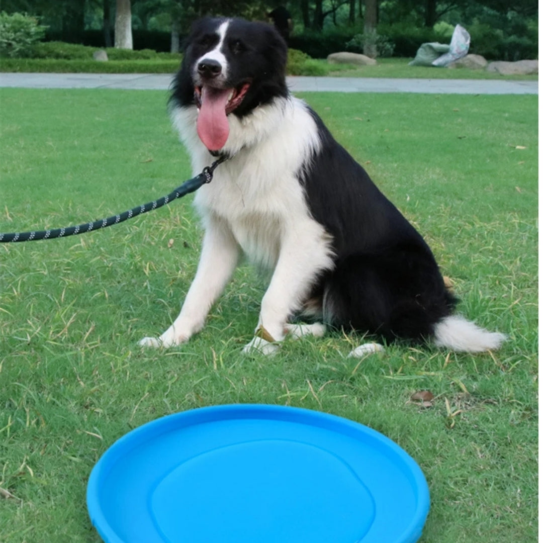 Disco de Brinquedo Para Cachorro Fortega