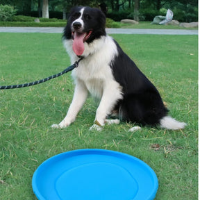 Disco de Brinquedo Para Cachorro Fortega