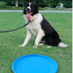 Disco de Brinquedo Para Cachorro Fortega B - Disco - 02