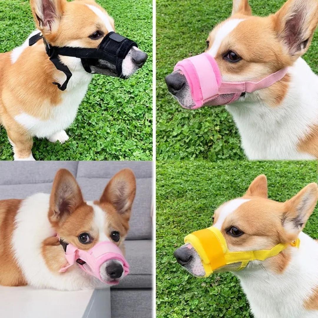 Focinheira confortável para cães Snout AF - 01