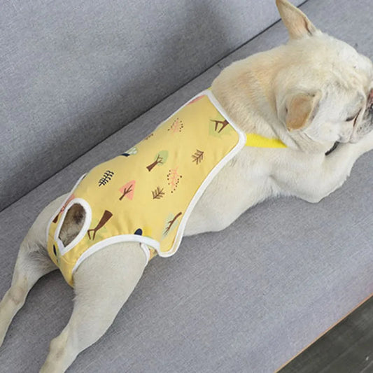 Fralda Macacão Para Cachorros Amarelo / P Luna R19