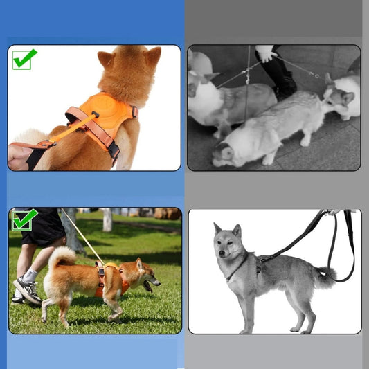 Guia Retrátil para Cachorro PetGui C - Guia - 01