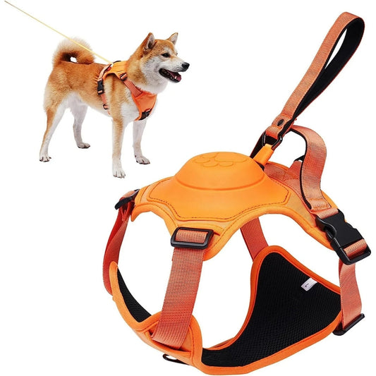 Guia Retrátil para Cachorro PetGui laranja / P C - Guia - 01