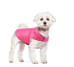 Roupinha de Inverno para Cachorro com Dupla Face