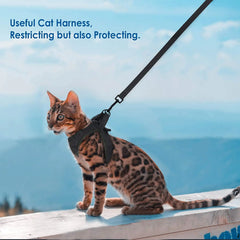 Peitoral Para Gato Com Guia Ajustável E Fecho Seguro