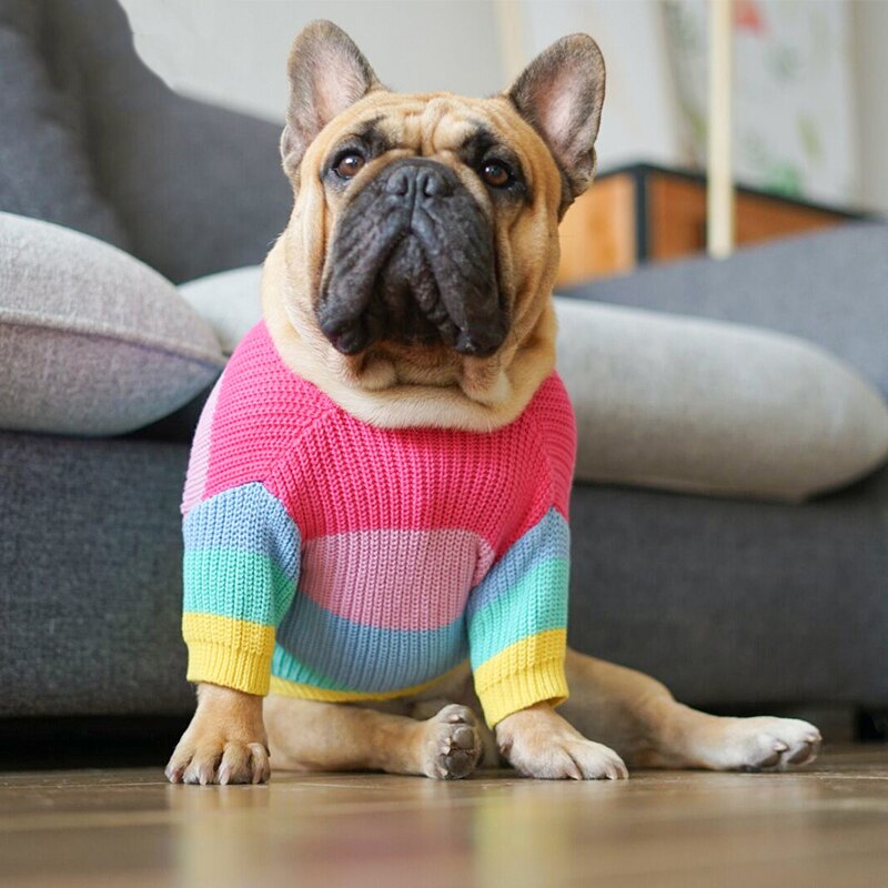 Blusão de Lã Colorido Para Cachorro - Livvy R - ROUPA - 125